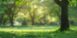 Natural green defocused spring summer blurred background with sunshine bokeh blur background  green park blur bokeh spring nature