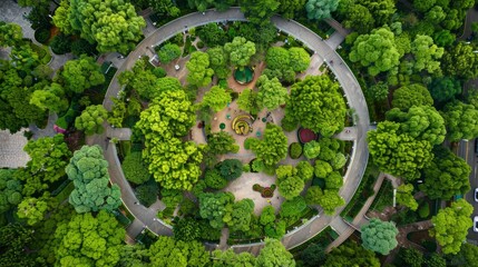 Wall Mural - A birds eye view of a park with lush green trees surrounding an intricate layout, including a playground area