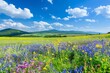 Scenic rural landscape with vibrant fields of blooming flowers and clear blue sky
