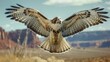 A large red-tailed hawk flies gracefully over a vast and dry desert landscape. The birds wings are fully extended as it searches for prey below.