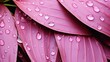 water pink palm leaves