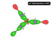sp2 Hybridisation in BCl3 or Formation of BCl3