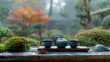 © Matus - Tranquil Tea Ceremony in Zen Garden, generative ai