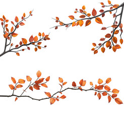 Wall Mural - Collection of autumn tree branches with orange leaves isolated cutout object on transparent or white background. png file.