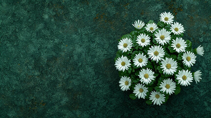 Canvas Print - daisies on a green background