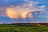 Fototapeta Miasta - Golden cloud over the field at sunset 