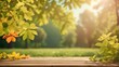 Summertime concept background of calm, sunny nature with trees' leaves in warm tones