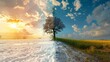 © sorin - Banner showcasing contrast between summer and winter seasons in climate change timeline