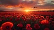 Remembrance Day Sunset Tribute with Poppy Field and WW Planes: Lest We Forget