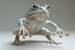 Funny frog standing on its hind legs. The toad spreads its strange fingers for better balance. Beautiful amphibian isolated on gray gradient background.

