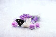 butterfly, flowers and quartz minerals set on abstract light background. gemstones for relaxation, meditation. Esoteric, spiritual practice, witchcraft. Crystal ritual for positive spirit, harmony
