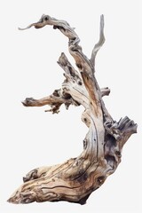 Wall Mural - Detailed close up of a piece of drift wood. Perfect for nature or beach themed designs