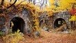 Autumn overgrowth covering fort ruins