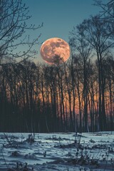 Canvas Print - A stunning view of a full moon rising over a snowy field. Perfect for winter-themed designs