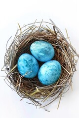 Poster - Three blue eggs in a nest on a white surface. Suitable for various spring and Easter themed projects