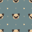 Seamless pattern with pug dogs. Cute background with pug heads. Pattern for packing of gifts, tiles fabric backgrounds. Sample for the website. Vector illustration on gray blue