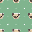 Seamless pattern with cute pug dogs. Background with pug heads. Pattern for packing of gifts, tiles fabrics backgrounds. Sample for the website. Vector illustration on green