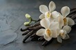 Essence of Elegance: Vanilla Orchids and Beans. Concept Vanilla Orchids, Vanilla Beans, Elegance, Aromatic Flora