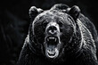 Close up of a growling bear in monochrome