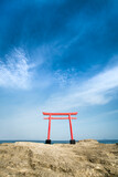 Fototapeta  - Red torii gate at Shimoda beach, Shizuoka Prefecture, Japan