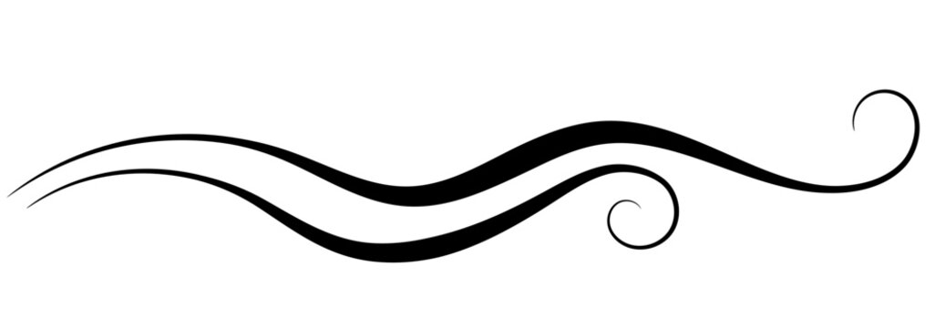 Wave ornament with leaves and abstract lines. Decorative element for decor and text greeting or invitation card design