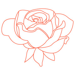 Hand-drawn rose flower outline doodle