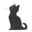 Silhouette kitten animal playing fur black color only