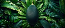  A Tight Shot Of A Green Fruit Against A Backdrop Of Lush, Green Foliage - Leaves And Palm Fronds - On A Black Background