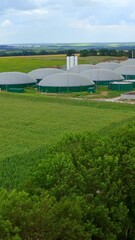 Wall Mural - Biogas plant. Agricultural and greenhouse complex. Modern farm with storage tanks among green fields. Production of biomass. Vertical video