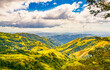 Verdant slopes of Monteverde under a dynamic sky, showcasing the rich biodiversity and layered mountain vistas of Puntarenas Province, Costa Rica. High quality photo.
