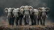 Group of Three Elephants Standing Together