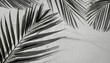 abstract background of shadows palm leaf on a white wall white and black