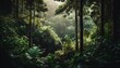 forest landscapes collection of lush forests capes with green trees and shrubs isolated on transparent background