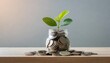 plant growing out of coin jar on table in office with soft grey background investing and business success concept
