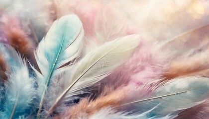 Wall Mural - light soft pastel dreamy floral abstract background with feathers