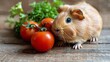 Rodent Holding Bunch of Tomatoes in Mouth