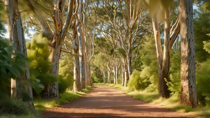 Wall Mural - A dirt road winds its way through a lush forest, with towering trees providing a captivating natural backdrop, An inviting scenic trail under a canopy of whispering eucalyptus trees, AI Generated