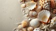 Sea Shells and Starfish on a Sandy Beach