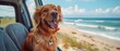 Happy Pup's Seaside Road Trip Adventure. Concept Seaside Vacation, Happy Dog, Traveling with Pets, Road Trip Essentials, Coastal Adventures