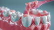 An anatomically accurate 3D model of a tooth with a toothbrush applying toothpaste emphasizing the correct way to brush