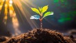 Neues Leben: Kleiner Baum symbolisiert Umweltschutz und Nachhaltigkeit
