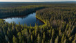 Boreal forests observed from an aerial perspective, absorbing CO in northern regions.
