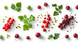 collection of organic natural punch of red and green grpaes and redcurrant fruit isolated on a transparent png background with shadows, for online menu shopping list ready for any background
