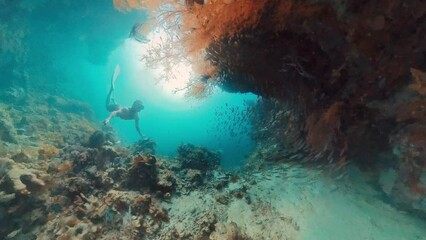 Sticker - Freediver swimming underwater in the tropical sea and exploring intricate seascape and abundant marine life of the West Papua region in Indonesia