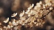 dried beige fragile flowers with branches on diagonal on natural blur background macro