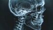X-ray close-up featuring the idea of the brain and skull, from a medical series