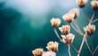 beautiful tiny dried romantic flowers and branches with blur cool tone background macro