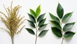 © Aedan - set of herbal branch green and gold leaves wedding concept arrangements for greeting card or invitation design