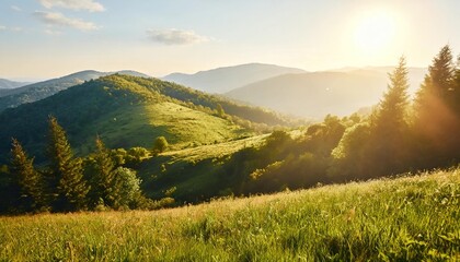 Sticker - carpathian countryside scenery with grassy meadows and forested hills in evening light mountainous rural landscape of transcarpathia ukraine in spring