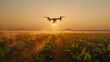 High-tech Drone flying over farmland at dawn, backlight by the rising sun and morning mist.